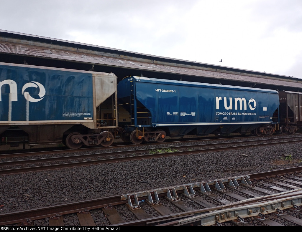 RUMO HTT-350663-1